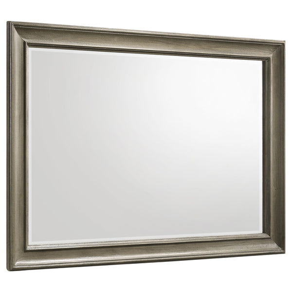 Alderwood Rectangle Dresser Mirror French Grey image