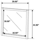 Wilkes Dresser Mirror