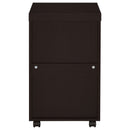 Skeena Storage Cabinet