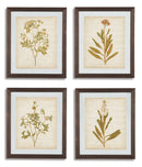 Dyani Wall Art (Set of 4) image