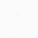 Bostwick Shoals Youth Twin Bed