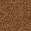 Carianna Living Room Set