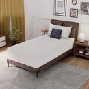 Forsythia 12" Twin Green Tea Gel Memory Foam image